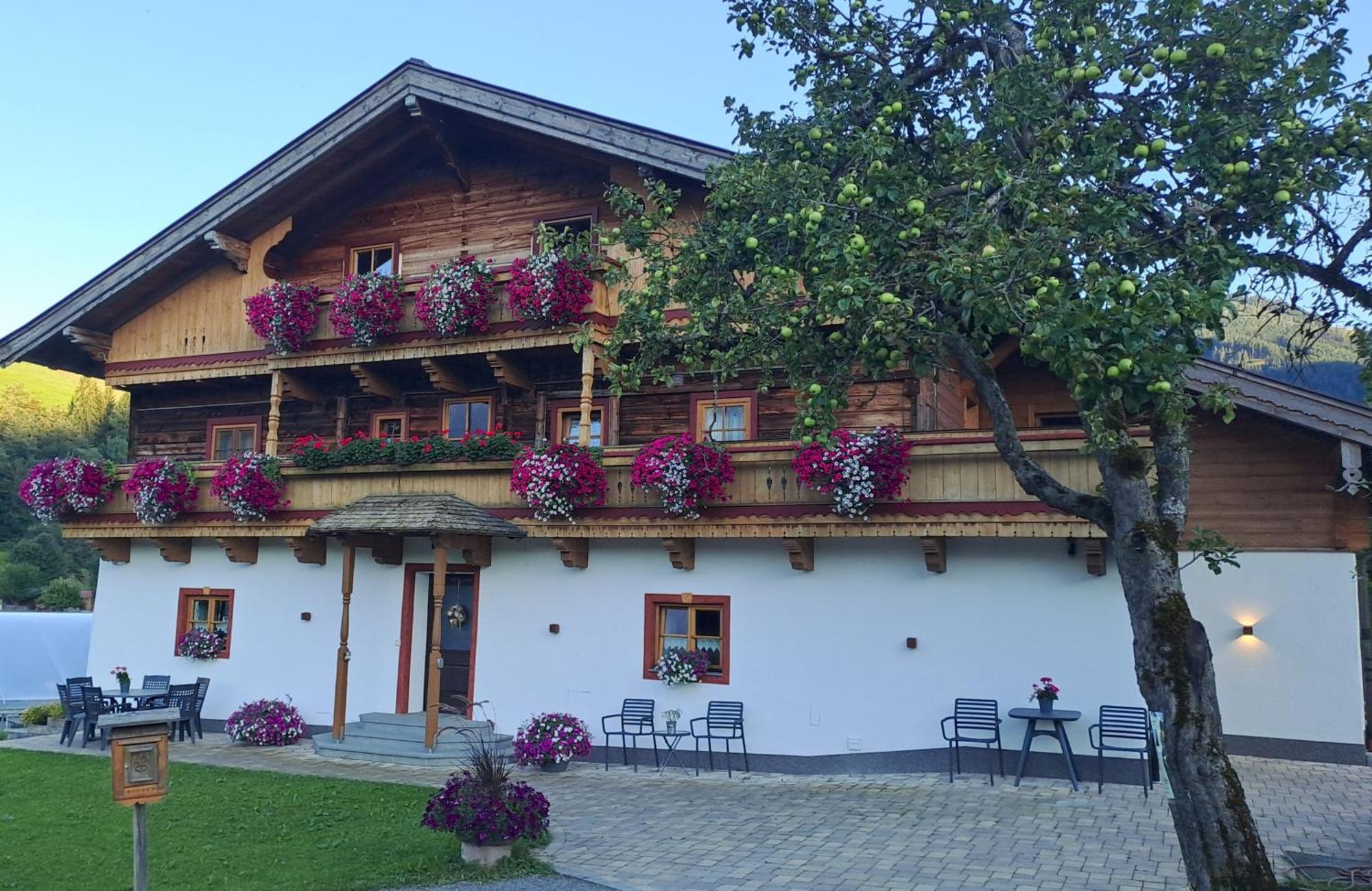 Ferienwohnung Langeck Maria Alm am Steinernen Meer Exterior photo