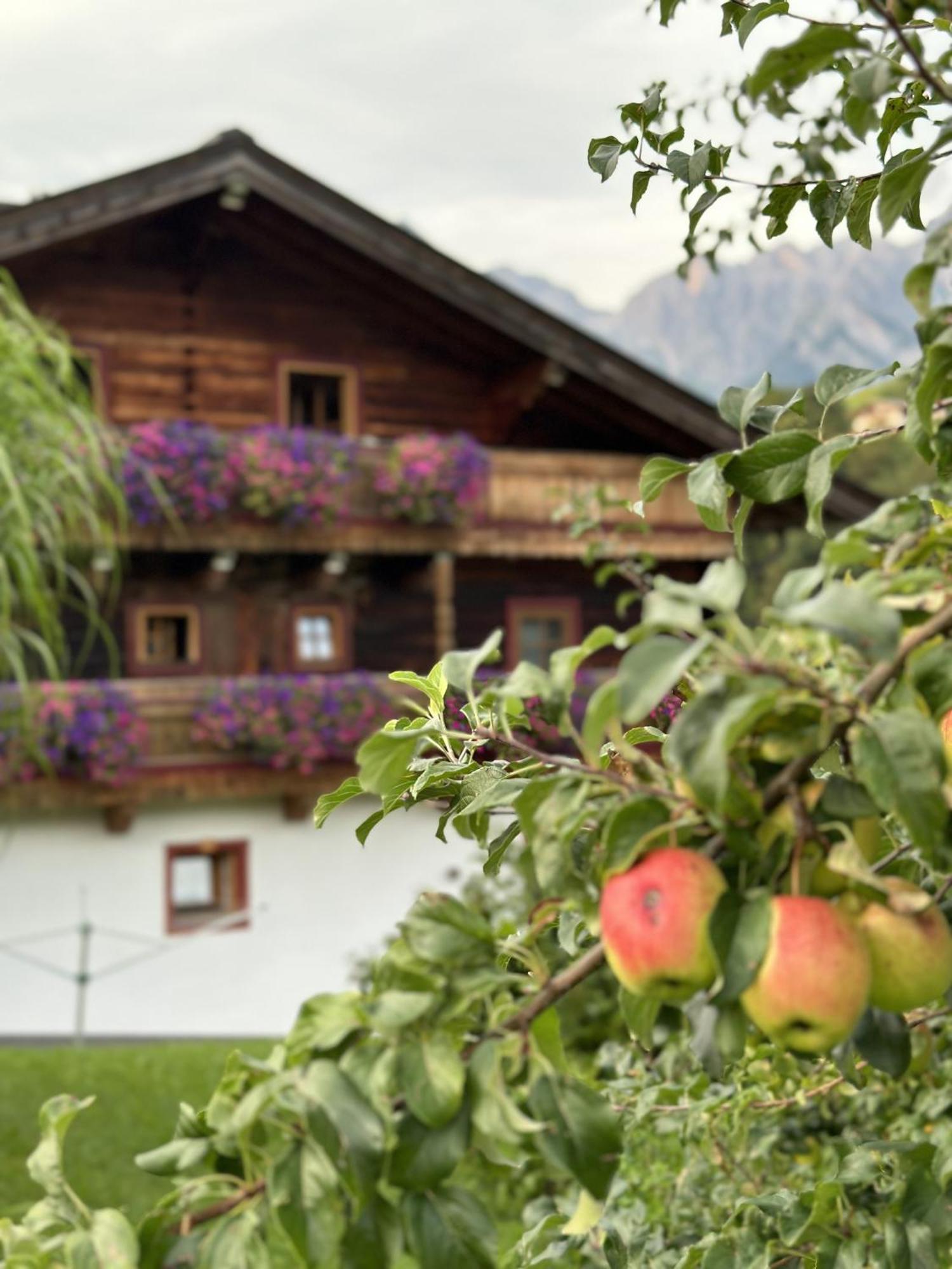 Ferienwohnung Langeck Maria Alm am Steinernen Meer Exterior photo